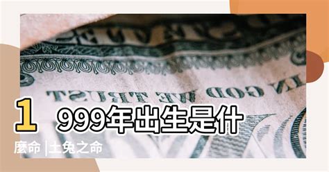 1999年是什麼兔